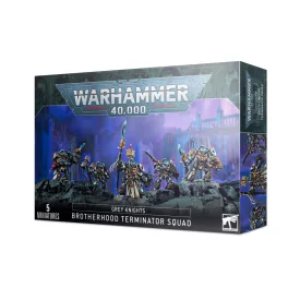 Grey Knights Paladins / Terminators