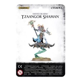 Tzeentch Tzaangor Shaman