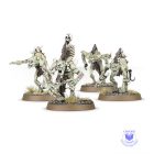 Flesh-Eater Courts Crypt Ghouls / Crypt Ghast Courtier