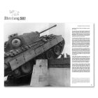 Book - PANZERDIVISIONEN  (Spanish)