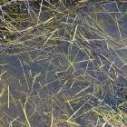 Vignettes texture products - STILL WATER - 250ml (Acrylic)
