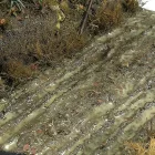 Vignettes texture products - TERRAINS WET GROUND - 250ml (Acrylic)
