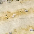 Vignettes texture products - TERRAINS DESERT SAND - 250ml (Acrylic)