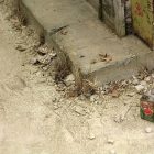 Vignettes texture products - TERRAINS LIGHT EARTH - 250ml (Acrylic)